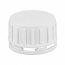 WHITE PLASTIC CAP PP Screw Wedgeseal Cap TAMPER EVIDENT CLOSURE WITH A 38MM FINISH , TAMPER EVIDENT RING